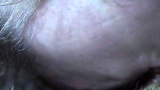 The Countess's Dog Is Fed and Dragged Across the Dungeon Floor