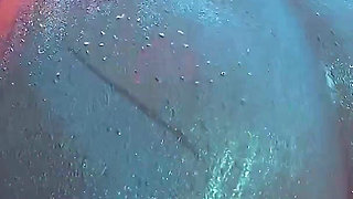 Black Cat Rides Big Dick in Her Room - Moaning Wet Ass Shake 3D Animation