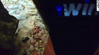 Hot latina gives a oral job on a abandoned beach