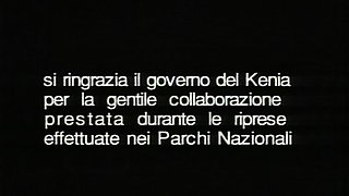 Blonde chick Bailey Bae drives a big cock in hardcore sex