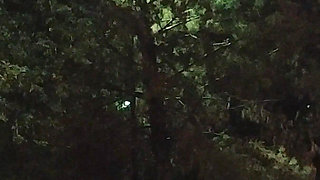 Thick BBW Wife Public Fun!