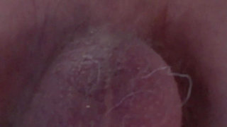 Step Daughter Surprise Visit