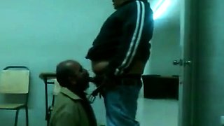 Fat Daddy Bear Sucks Chub