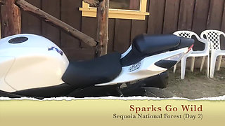 Fucking and Sucking on a Giant Tree. Sex in the Sequoias!