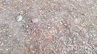 HOT INDIAN WITH INDIAN DESI 18 + SEX VIDEOS