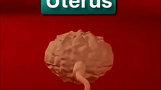 How does conception happen inside the human body?