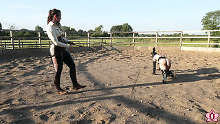 Trotting to Submission