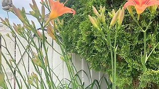 Gardend Outside Pissing Fun