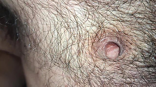 Suck My Hairy Pointy Nipples