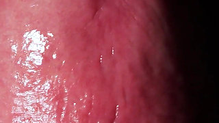 Goddess Anya Queen’s POV View Extreme Oral & Wet Asmr