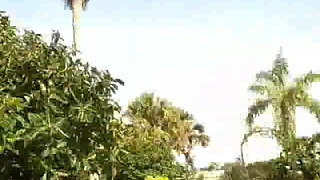 Sexxy Brandon: Pool Fun: Part 3