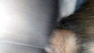 Rip My Panties & Fuck Me Hard