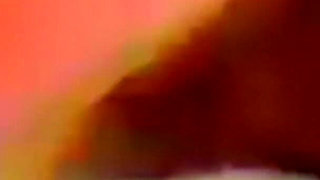 Inside Me the Journey of the Orange