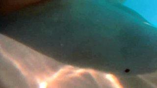 Skinny Dipping and Teasing in the Garden Pool - Amateur Teen