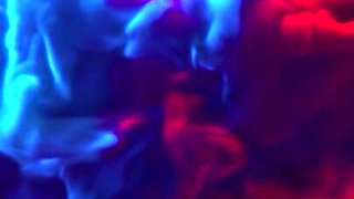 Dakota James Married a Real Bitch Cuckold