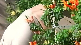 Excessive Desire for Cock