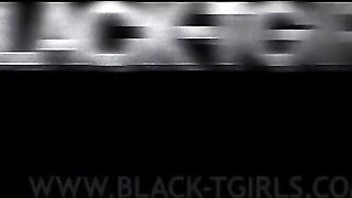 Black TGirls featuring Destiny Dream and Ana Andrews's pornstar sex