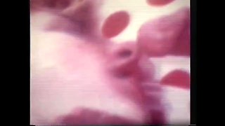 Tasty And Seductive Clitoris