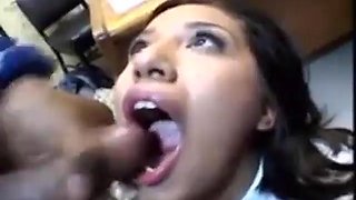 Babe: Blowjob, Doggy  Brunette Porn