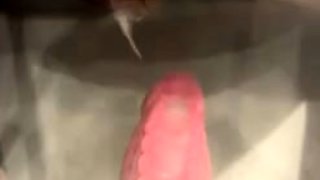 TsAviva Upskirt Dildo Play In Glasses