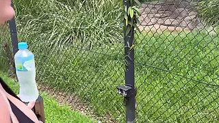 A Real Australian Experience With Aussie Hottie Jade Harper