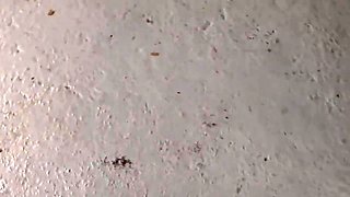Spic hot MILF amateur X-rated clip