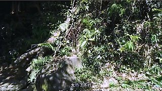 An excursion in nature