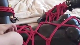 Mz15 - a Puppy Wearing a Latex Suit and Bound by a Red Rope.