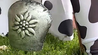 Hucow Creampie Gangbang Dogging Therapie