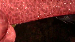 Gol 3D Busty Brunette Blowjobs Monster Frog Prince's Cock