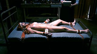 Huge Tits Sophia Locke Hopes Her Torment Will Come To An End