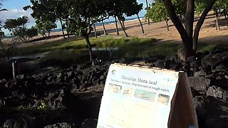 Blonde emo amateur solo masturbation