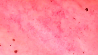 Aftermath Compilation