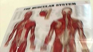 18 Year Old Teen 18+ Blonde Sucks 2 Cocks And Swallows Cum With Johnny Fender And Arnold Schwartzenpecker