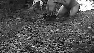 Pet Girl Obedience Training