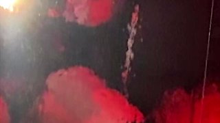 :- Marie Gets Taken Into The Vampire Room To Please Her Owners!