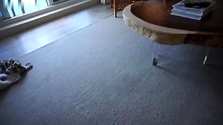 Toering Toejob On Balcony By The Beach Footjob