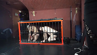 Femdom chick in high heels walking on her slaves