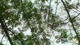 When the Attractive Asian Blonde Begins Craving Deep Anal Thrusts, the Garden Turns Heated.