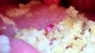 Shye White The Final Torment Before Devouring