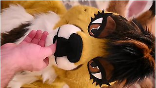 Furry Blowjob