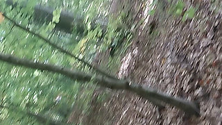 Blowjob and cum in the park