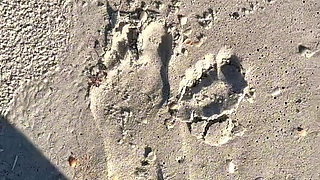 Comparing Size 16 Feet to Sand Prints at the Beach