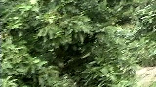 Olivia Ryder Blonde Blowjob Brunette Car Handjob