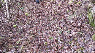 Slapping Vagina and Tits in the Woods