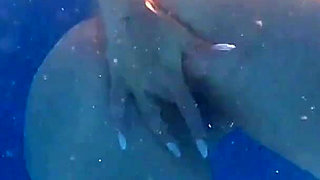 Underwater in Pool