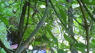 Cameraman Films Hooker Deep in the Woods
