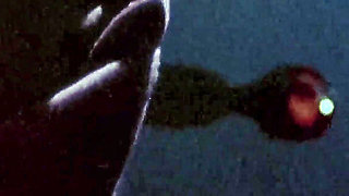 A Tribute to Annette Haven 03