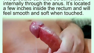 Prostate Orgasams Anal