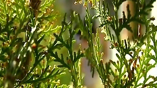 Retro Cunt Fucked Wet